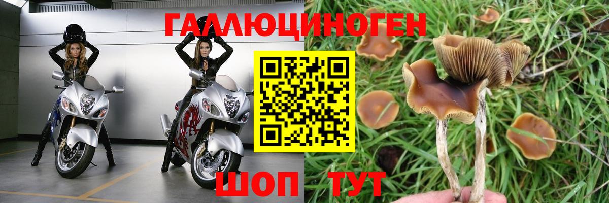 Псилоцибиновые грибы мухоморы  Галлюциногенные грибы мухоморы  Вход с VPN  Чехов 